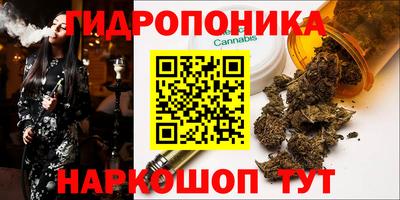 мдпв Тула