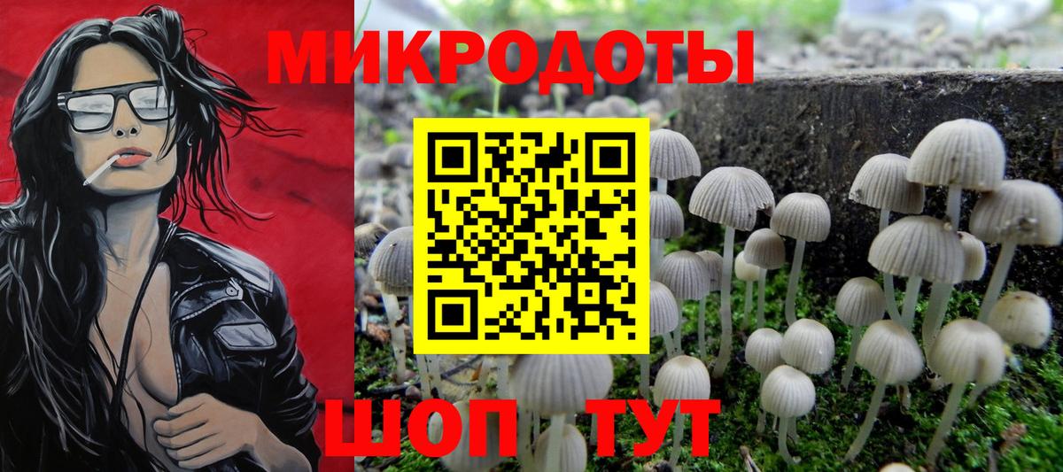 Первоуральск  Галлюциногенные грибы Psilocybine cubensis  Вход с VPN 