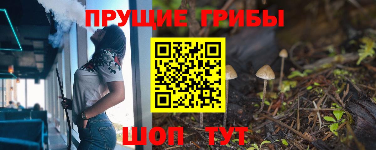 Псилоцибиновые грибы Cubensis Первоуральск